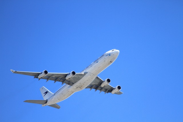 飛行機